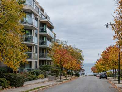 A 1990s mid-rise condo building with glass balconies on a tree-lined lakeshore street in autumn, with Lake Ontario at the end of the street